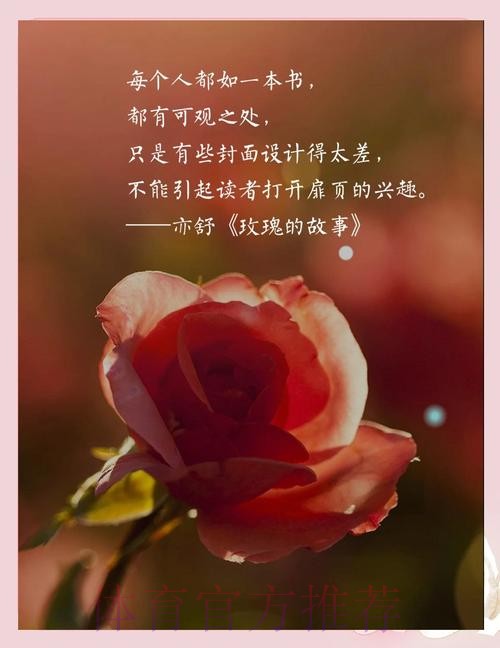 虽败犹荣 玫瑰重拾铿锵气质崛起指日可待! 虽败犹荣 玫瑰重拾铿锵气质崛起指日可待!